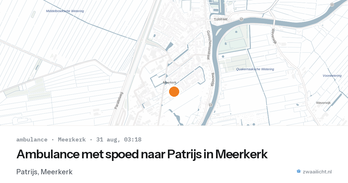Ambulance met spoed naar Patrijs in Meerkerk — 31 aug 2026