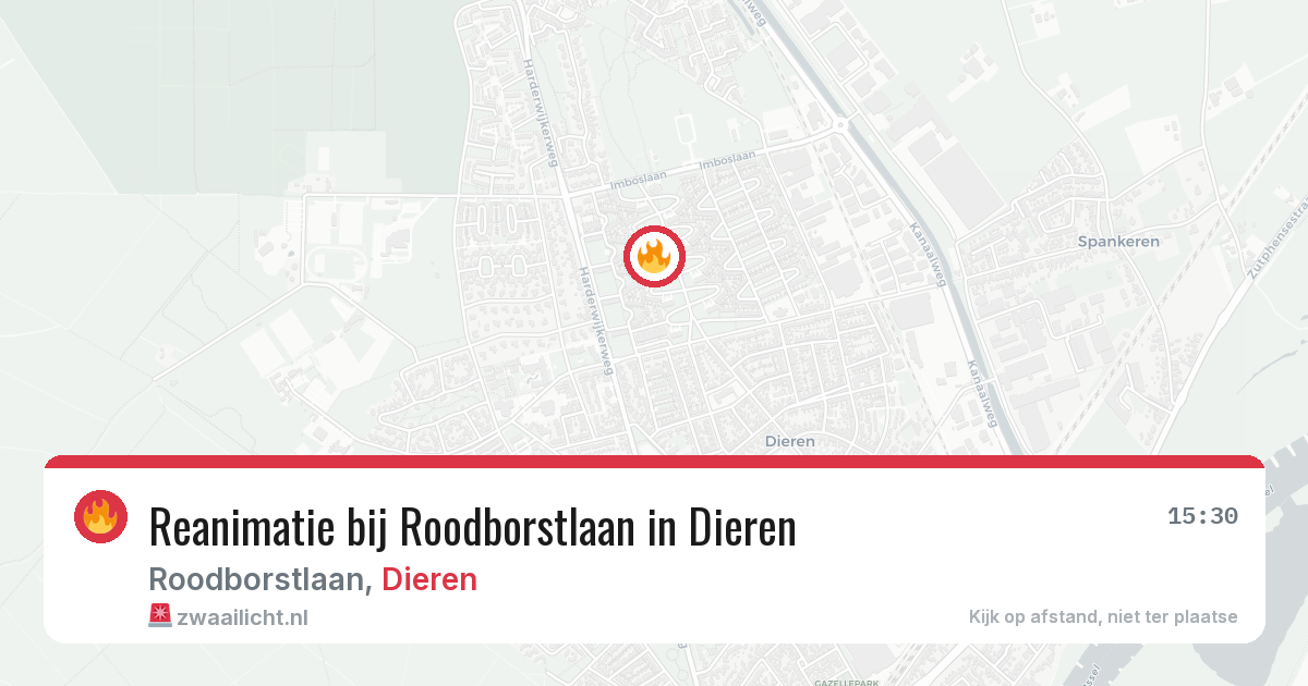Reanimatie bij Roodborstlaan in Dieren — 30 jun 2026