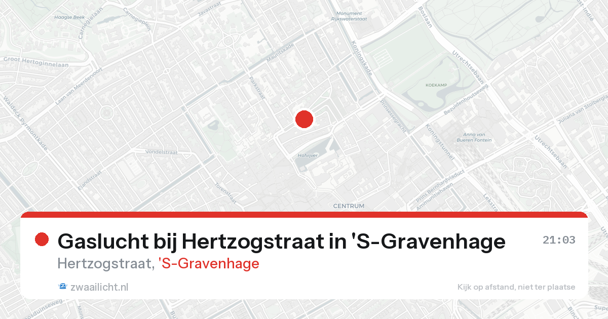 Gaslucht bij Hertzogstraat in 'S-Gravenhage — 7 feb 2026