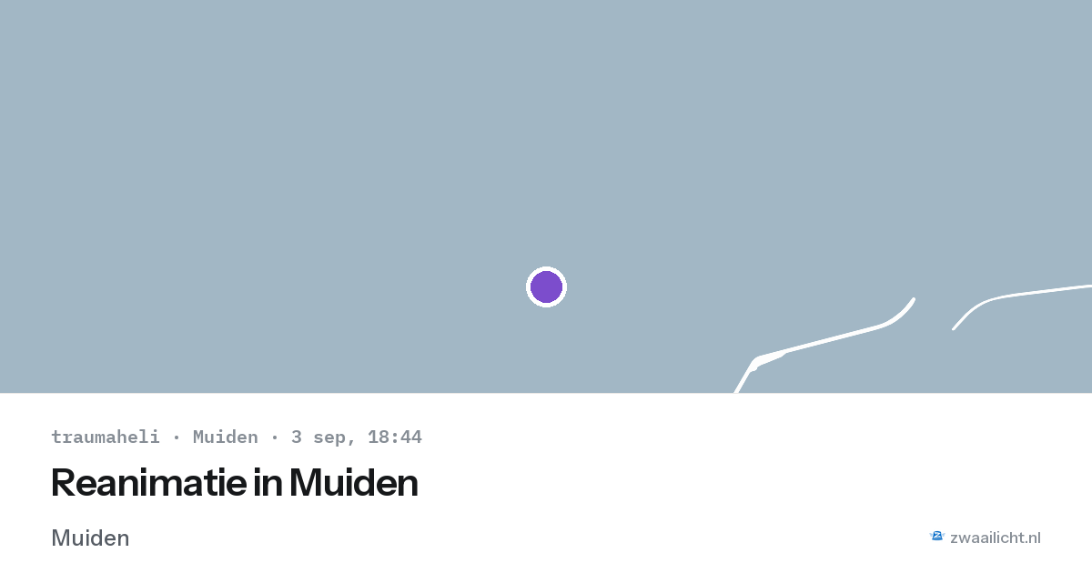 Reanimatie in Muiden — 3 sep 2026