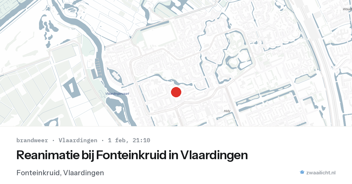 Reanimatie bij Fonteinkruid in Vlaardingen — 1 feb 2026