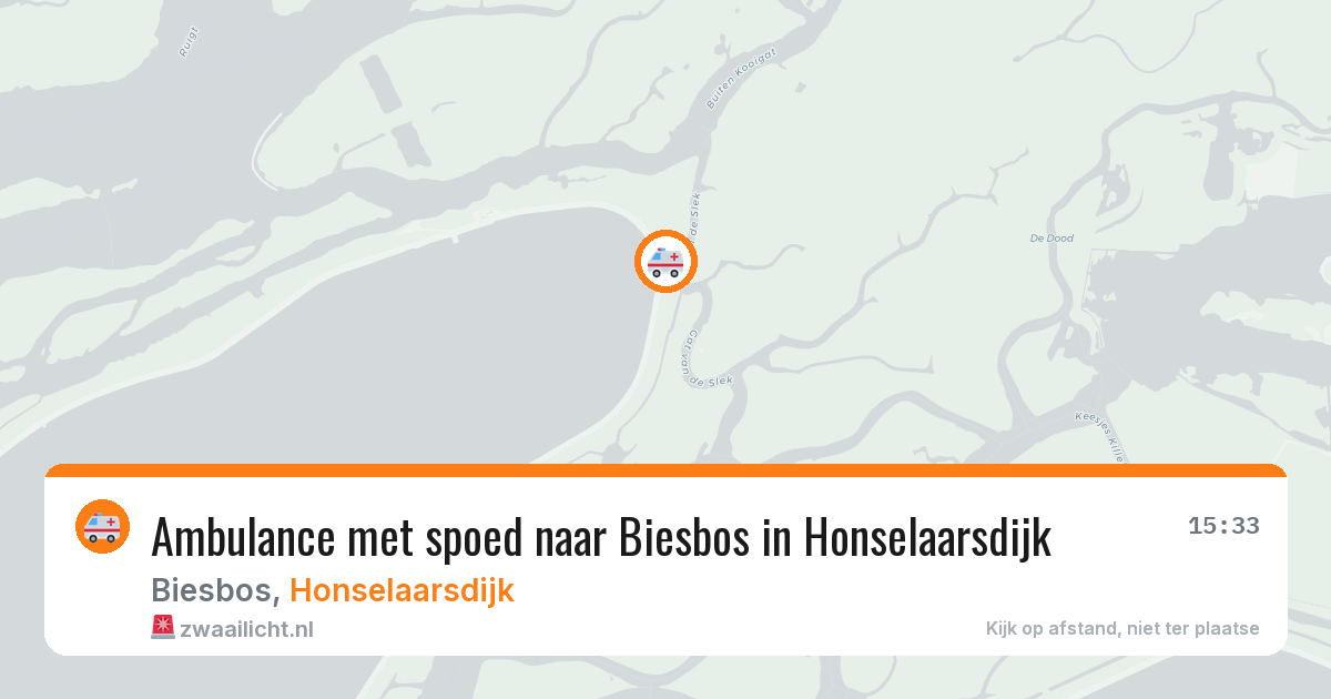 Ambulance met spoed naar Biesbos in Honselaarsdijk — 17 apr 2026