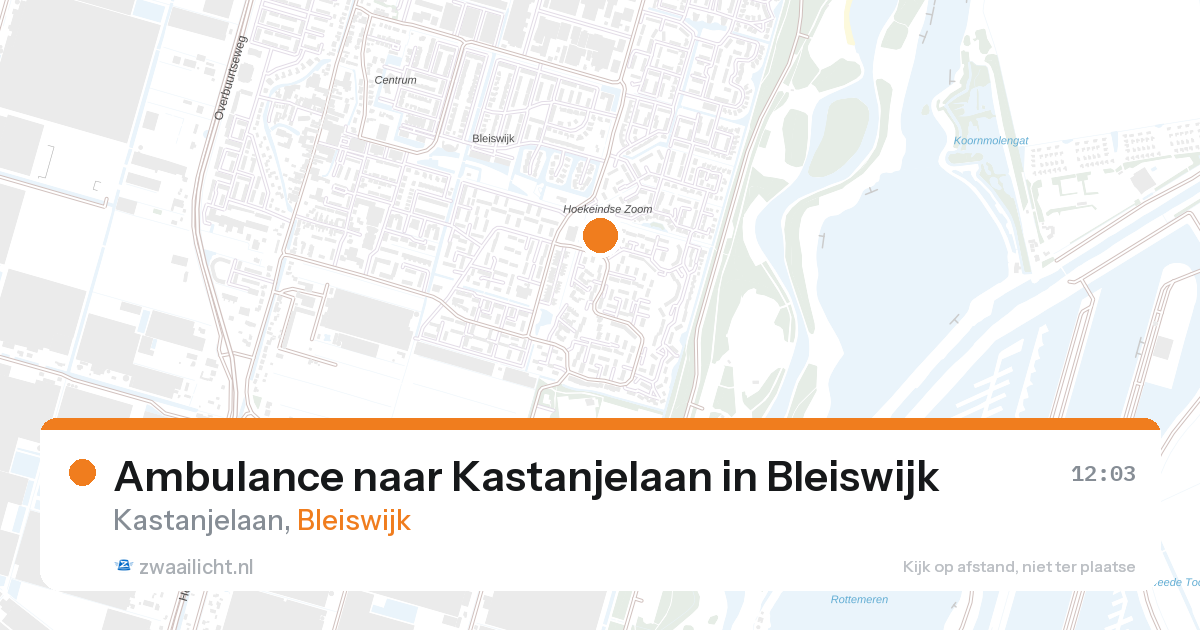 Ambulance naar Kastanjelaan in Bleiswijk — 28 aug 2026