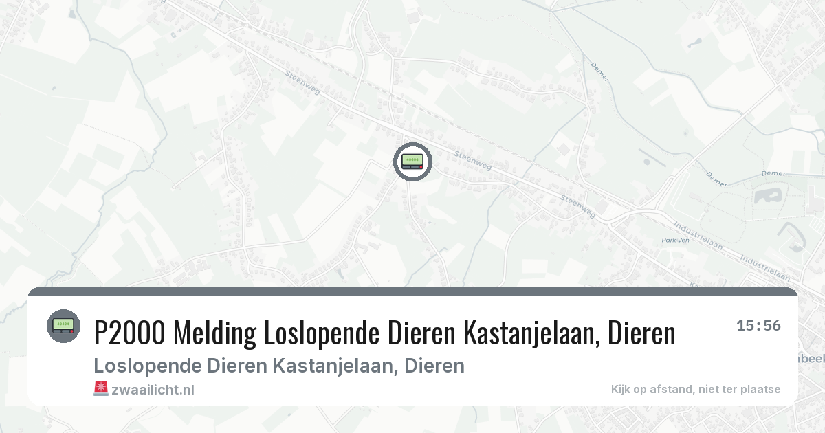 P2000 Melding Loslopende Dieren Kastanjelaan, Dieren — 8 feb 2026