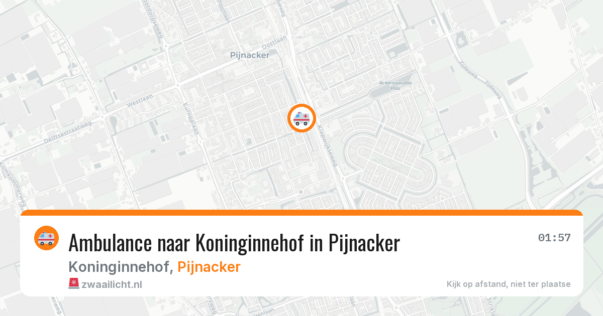 Ambulance naar Koninginnehof in Pijnacker — 13 aug 2026