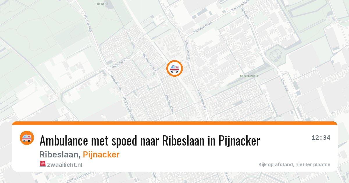 Ambulance met spoed naar Ribeslaan in Pijnacker — 13 jun 2026