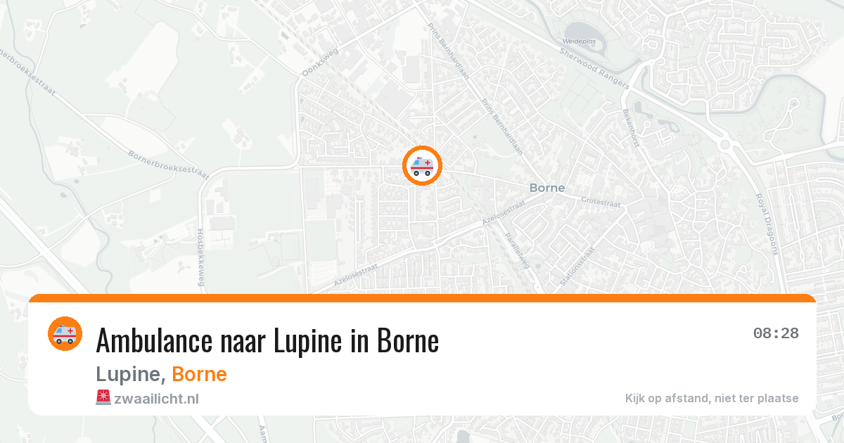 Ambulance naar Lupine in Borne — 11 aug 2026