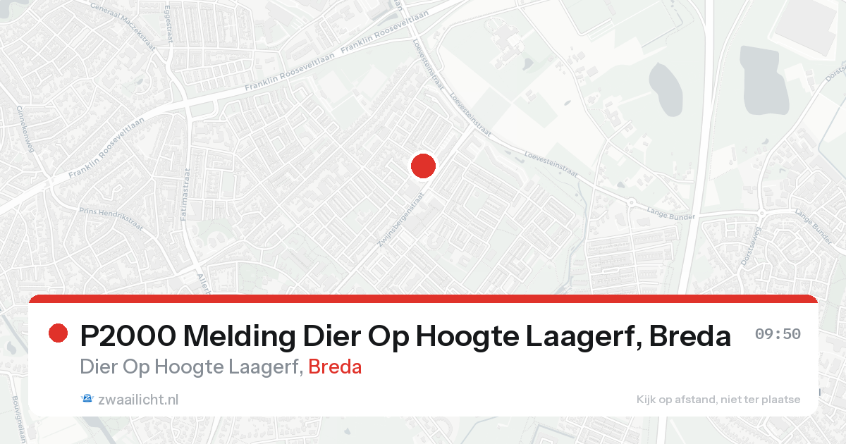 P2000 Melding Dier Op Hoogte Laagerf, Breda — 31 jan 2026