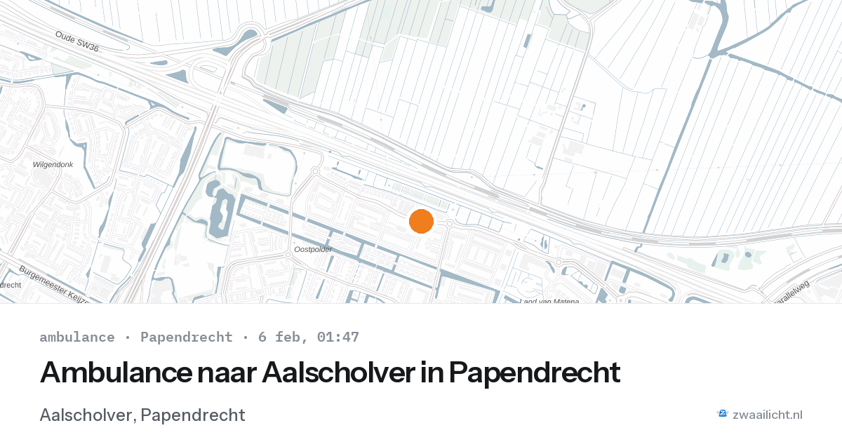 Ambulance naar Aalscholver in Papendrecht — 6 feb 2026
