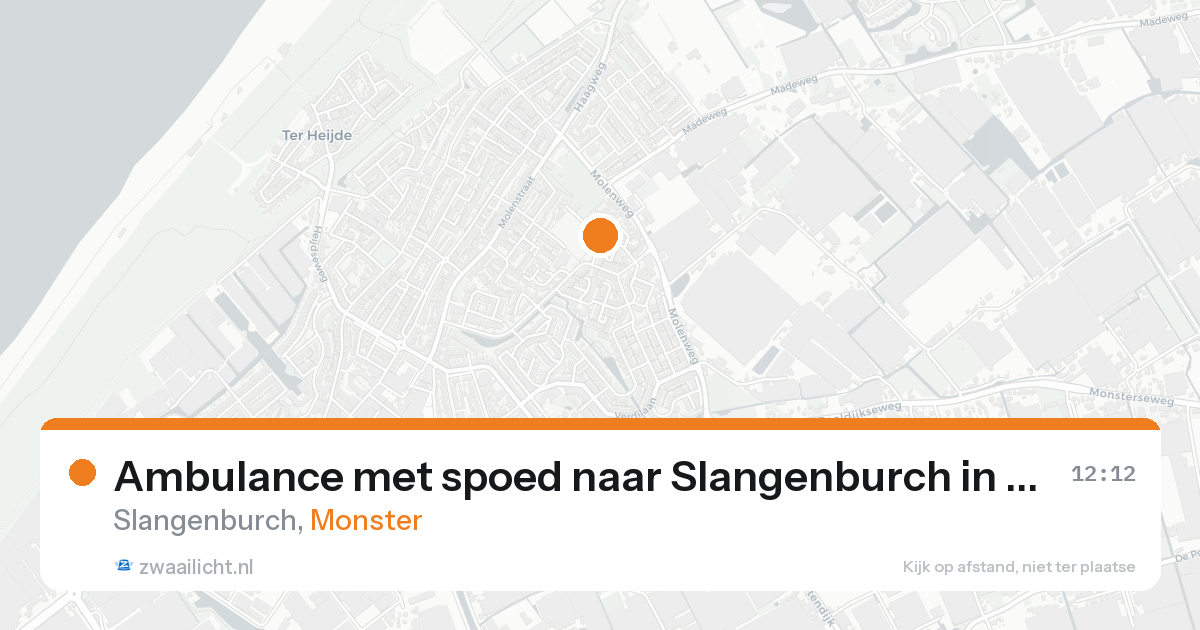 Ambulance met spoed naar Slangenburch in Monster — 15 aug 2026