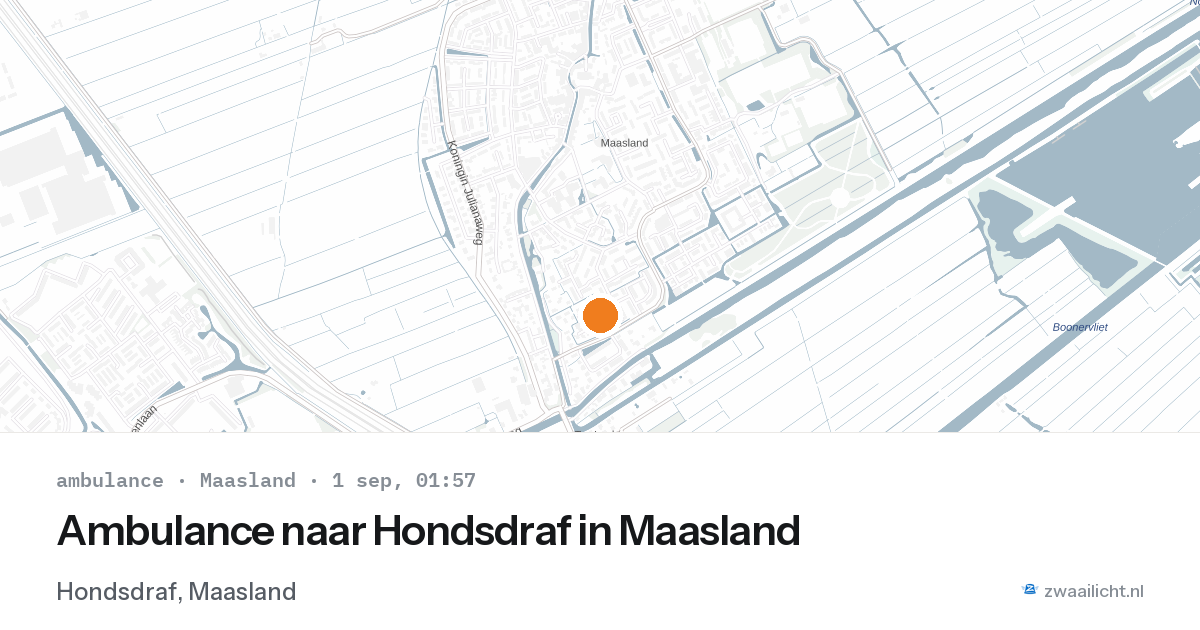 Ambulance naar Hondsdraf in Maasland — 31 aug 2026