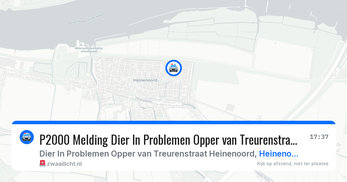 P2000 Melding Dier In Problemen Opper van Treurenstraat Heinenoord, Heinenoord — 8 mei 2026