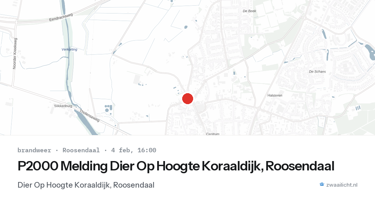 P2000 Melding Dier Op Hoogte Koraaldijk, Roosendaal — 4 feb 2026