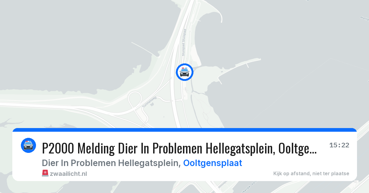 P2000 Melding Dier In Problemen Hellegatsplein, Ooltgensplaat — 4 jun 2026