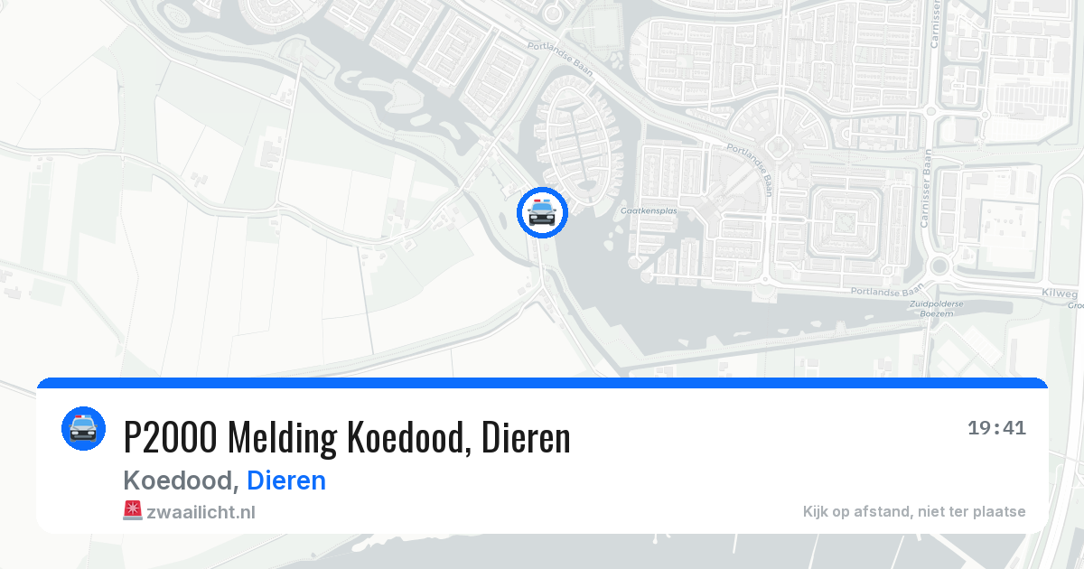 P2000 Melding Koedood, Dieren — 8 jul 2026