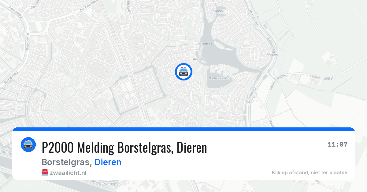 P2000 Melding Borstelgras, Dieren — 2 jun 2026
