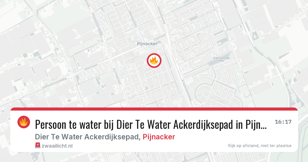 Persoon te water bij Dier Te Water Ackerdijksepad in Pijnacker — 2 aug 2026