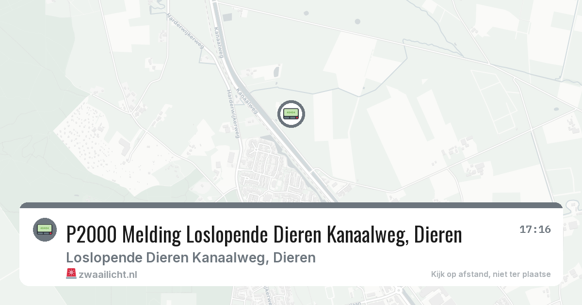 P2000 Melding Loslopende Dieren Kanaalweg, Dieren — 8 feb 2026