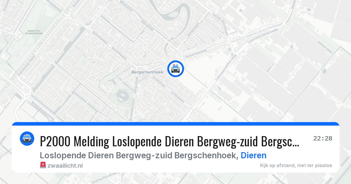 P2000 Melding Loslopende Dieren Bergweg-zuid Bergschenhoek, Dieren — 10 jul 2026