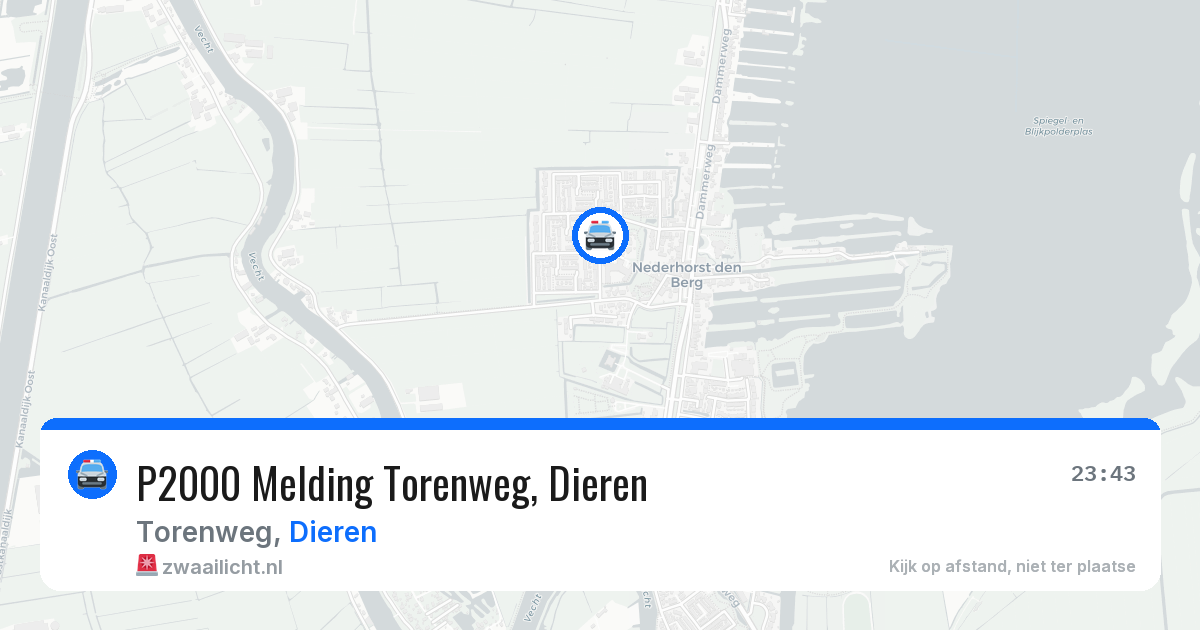 P2000 Melding Torenweg, Dieren — 11 jul 2026